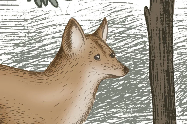 Scandinavian Bellewood, Animal