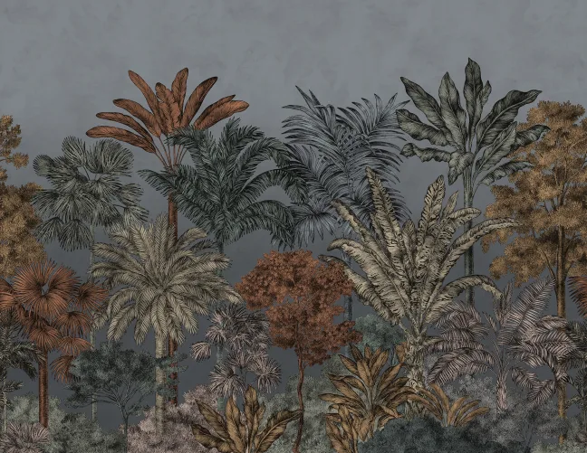 Tropical Bellewood, Night