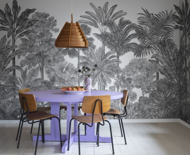 Tropical Bellewood, Graphite