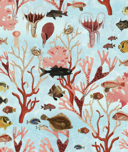 Aquarium, Mint