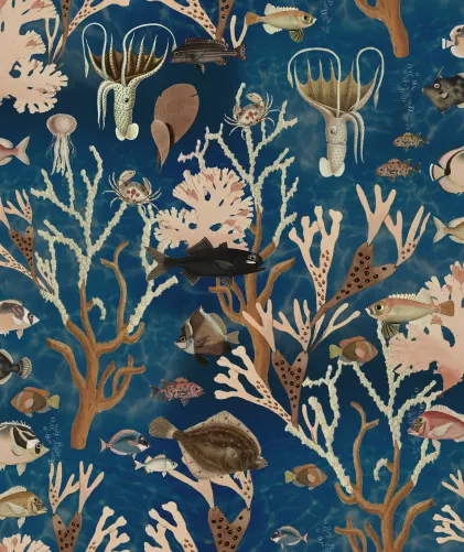 Aquarium, Ocean