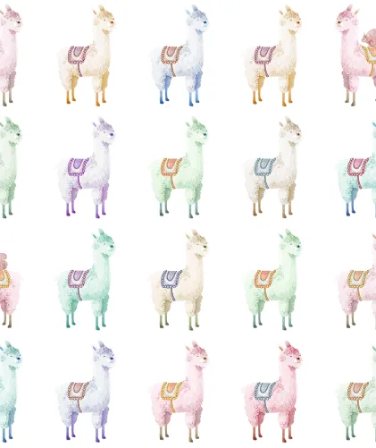 Alpaca Rebel, Rainbow