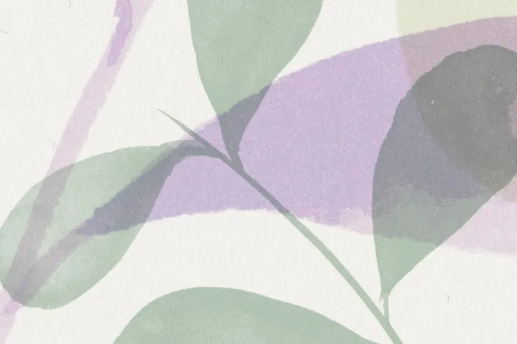 Grow, Lilac