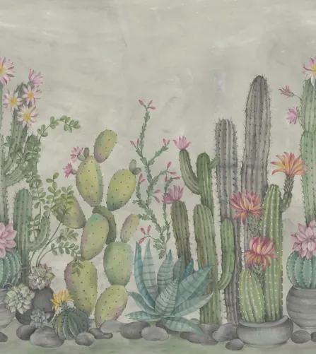 Playfull Cactus, Summer