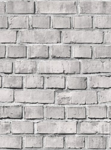 Bricks Ash