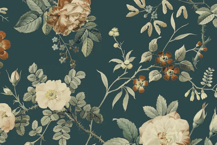 Thorn Rose Petite, Madame Hardy