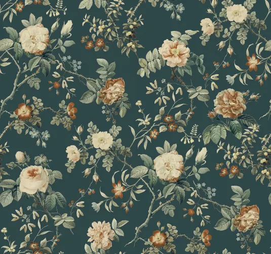 Thorn Rose Petite, Madame Hardy