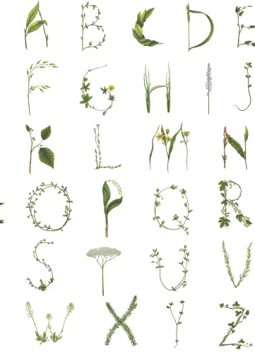 Floral Alphabet Mini English