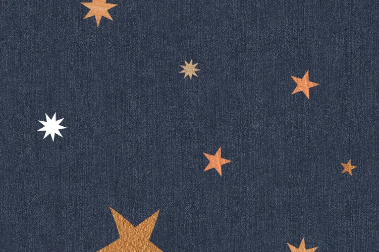 Stardust, Night