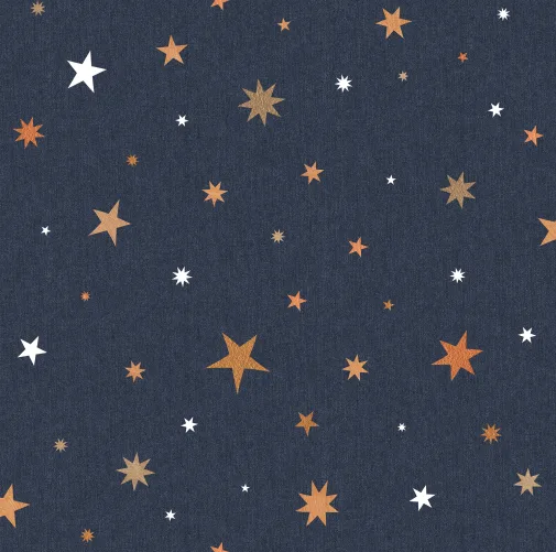Stardust, Night