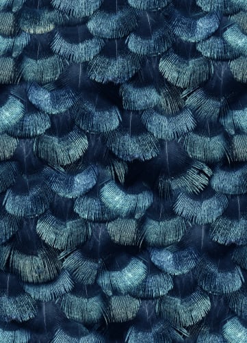 Petite Peacock Plumage, Teal