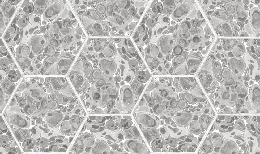 Marbled Hexagon Tiles, Gray