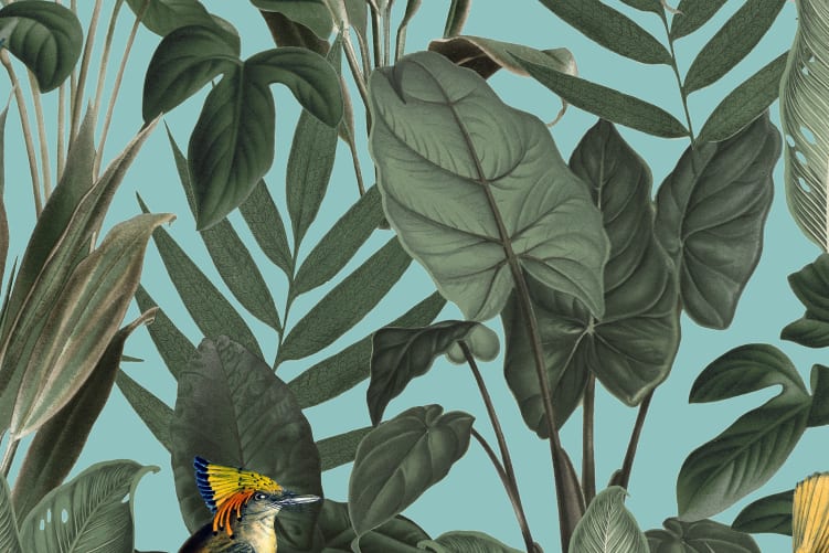 Birds of Paradise, Lush Green