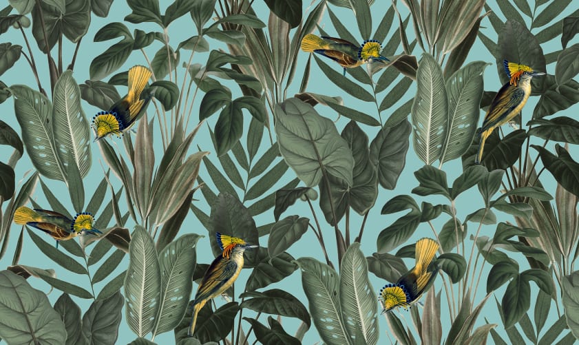Birds of Paradise, Lush Green
