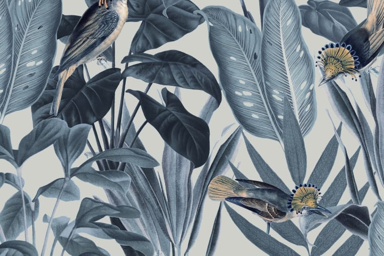 Birds of Paradise, Nightfall