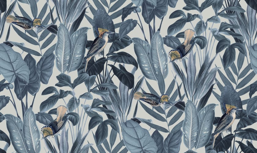 Birds of Paradise, Nightfall