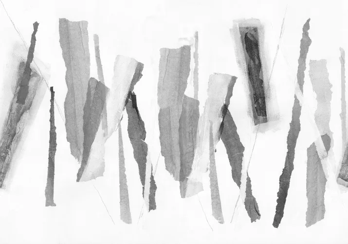 Tear, Graphite