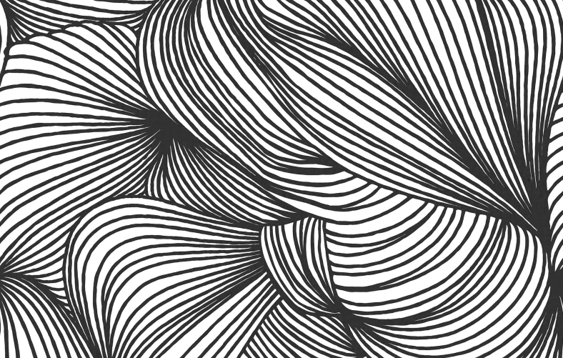 Opulence Lines, Graphite
