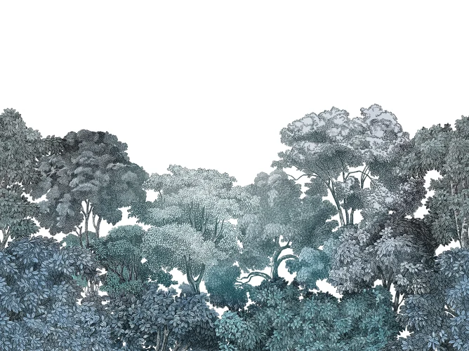 Bellewood, Teal