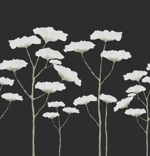 Hand-Painted, Common Hogweed