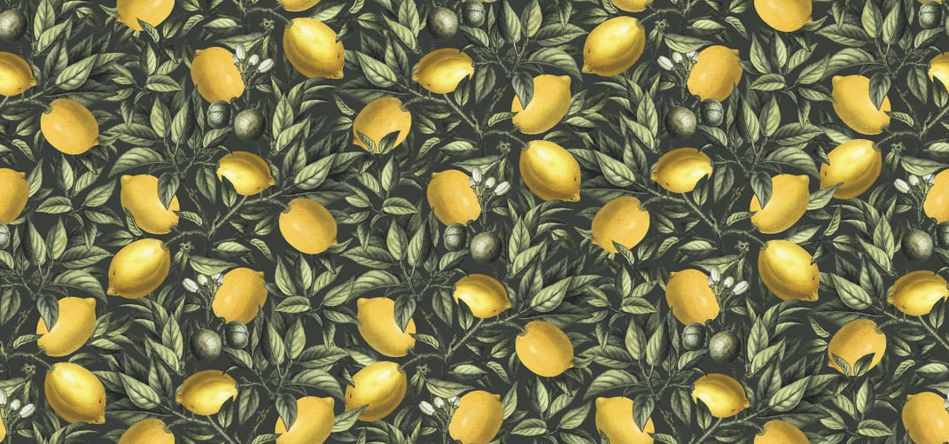 Quando la vita ti dà i limoni