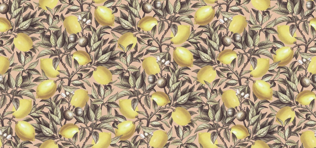 Des citrons qui ont de l'allure