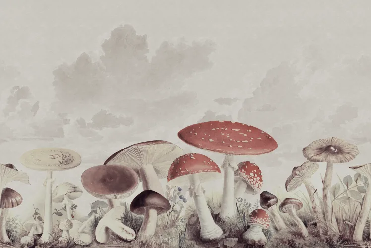 Hang with Mushrooms