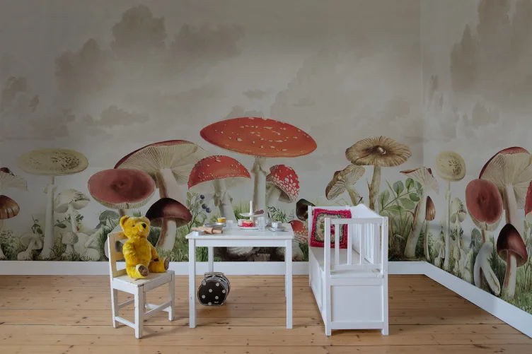 Funghi amici giganti
