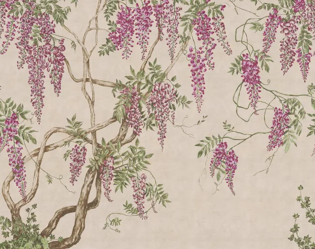 Romantic wisteria tree