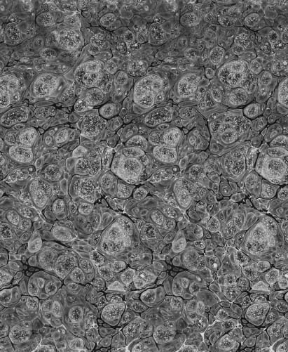 Elegant Marble Effect