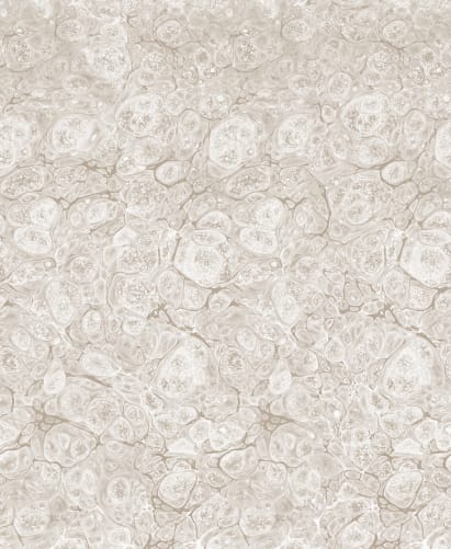 Luxurious Marble Feel