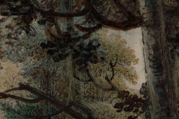 Forêt majestueuse