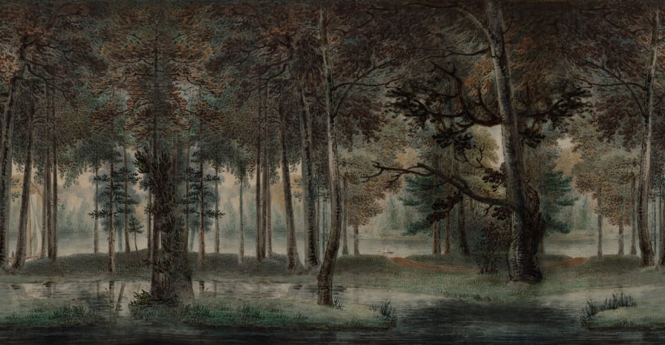 Forêt majestueuse