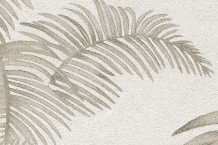 Vue chic sur les palmiers
