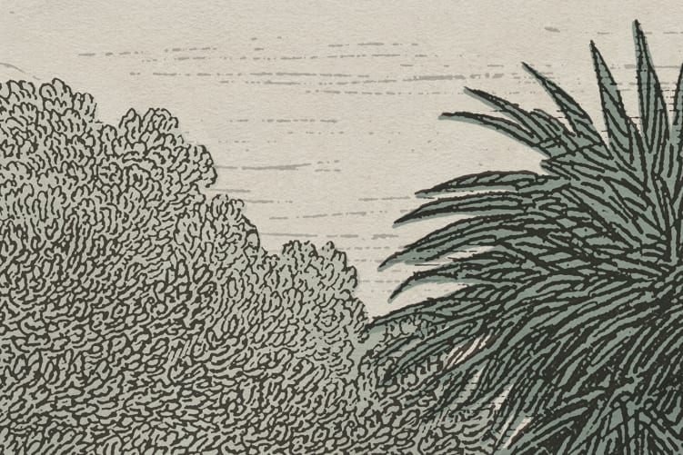 Évasion tropicale