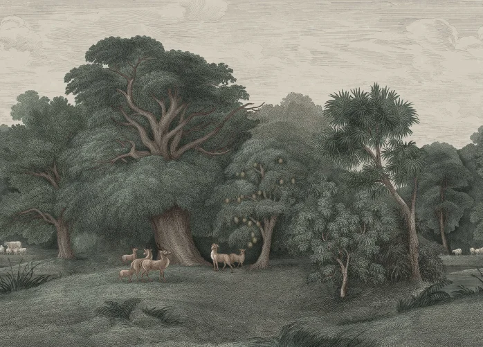 Évasion tropicale