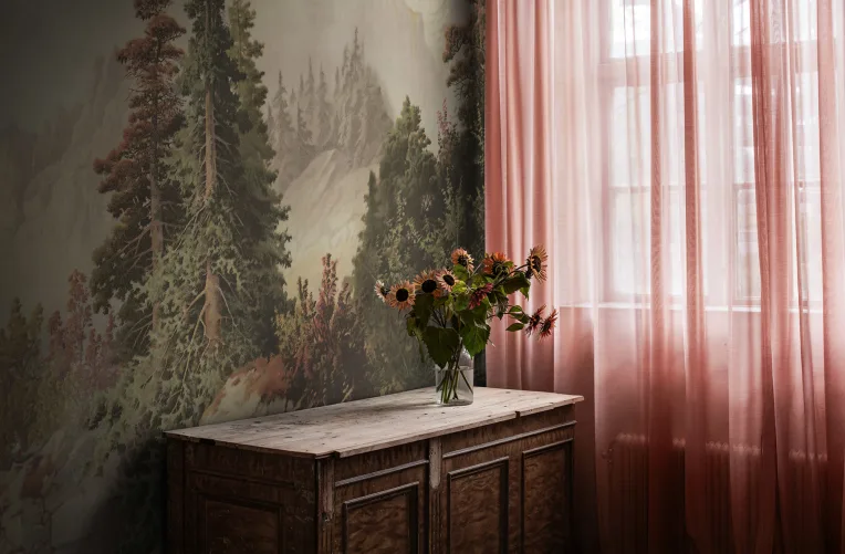 Paysages saisissants