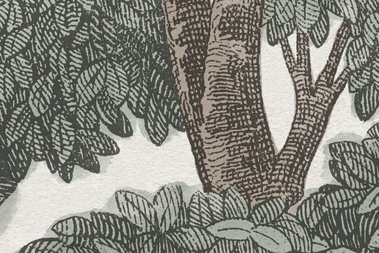 Toile Bosque Clásico