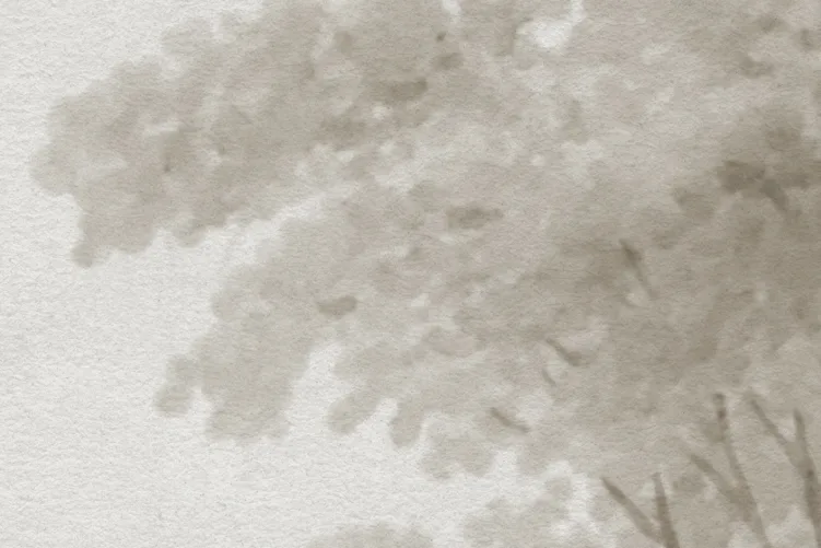 Forêt scandinave