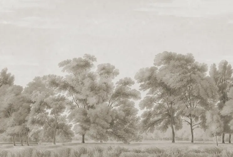 Forêt scandinave