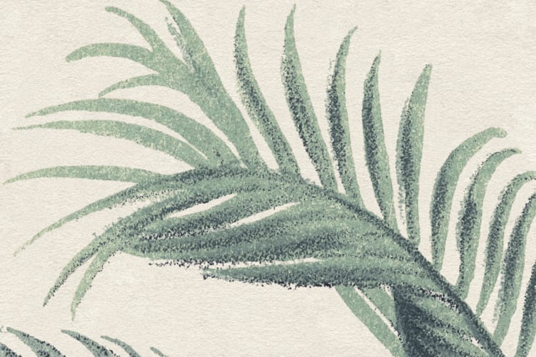 Feuilles de palmier se balançant