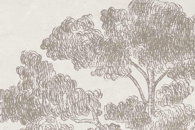 A Soft Scandinavian Bellewood
