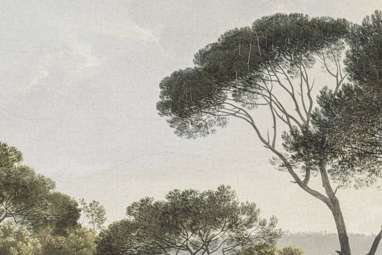Tranquil Pine Glade
