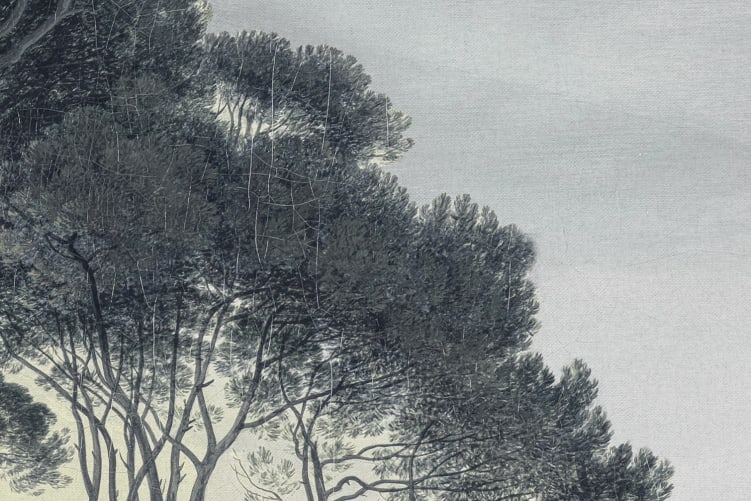 Elegant Pines