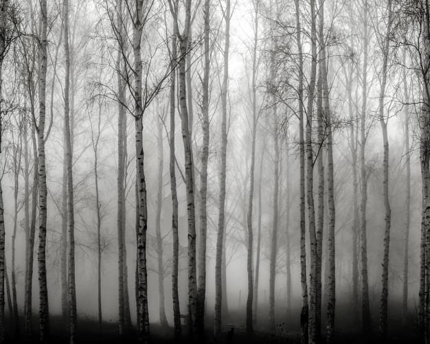 Crépuscule mystique