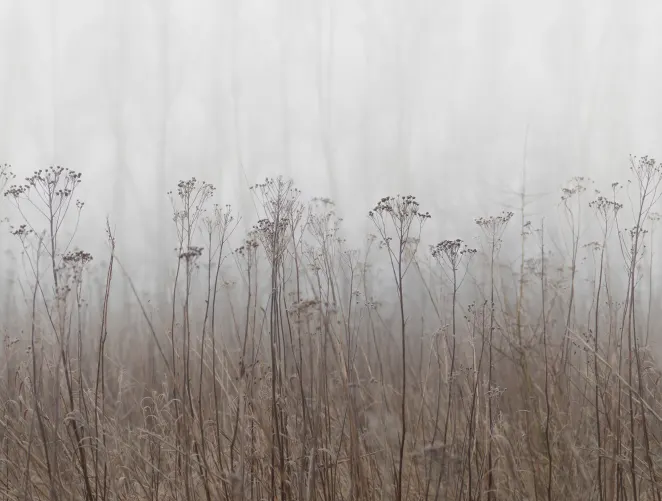 Die ungezähmte Schönheit der Natur