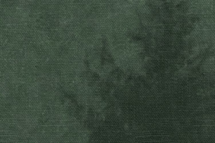 Taiteellista metsävalokuvausta