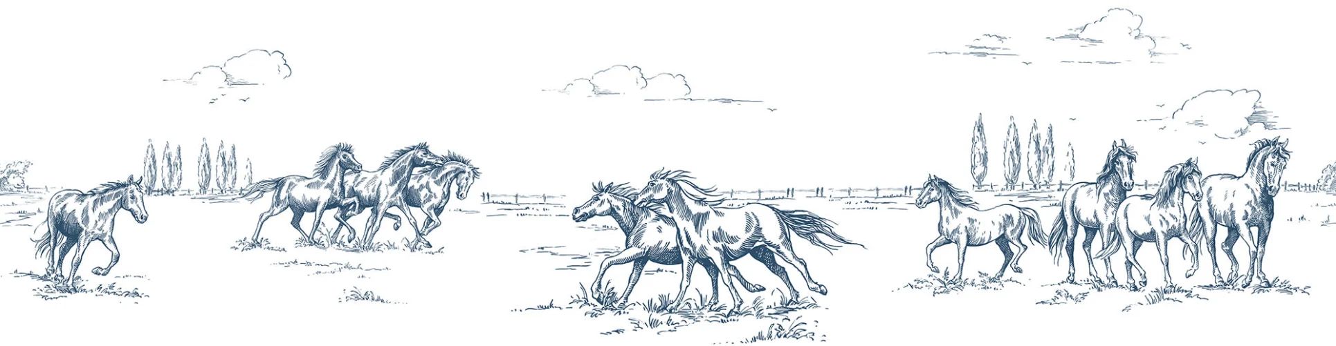 Galop en bleu