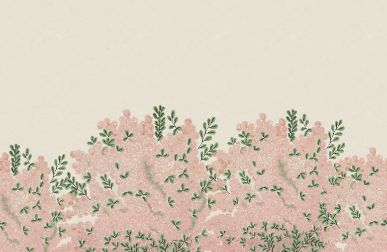 Delicate Pink Blossoms