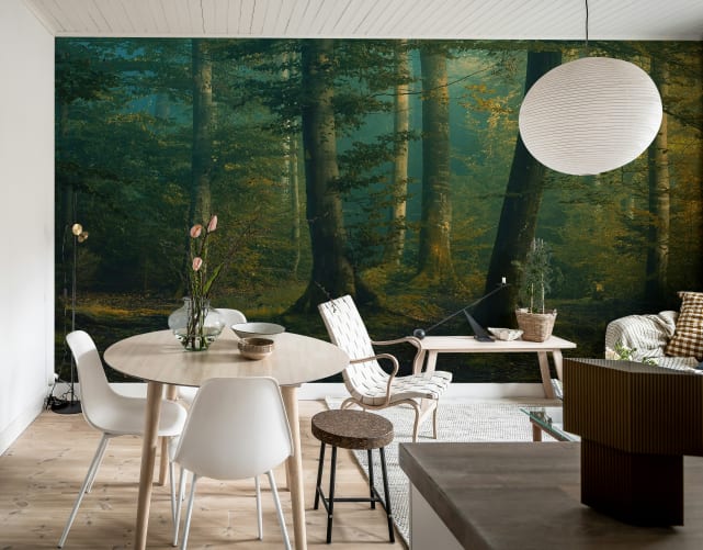 Beech Forest